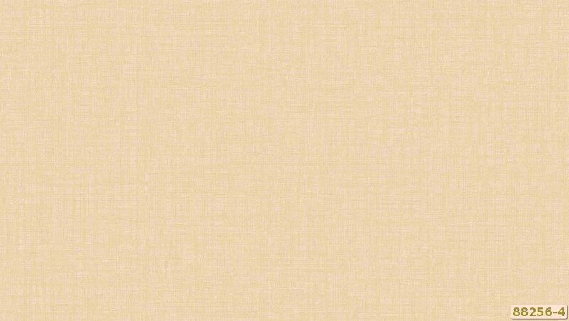 Giấy dán tường màu pastel với nét đẹp nhẹ nhàng nhưng vẫn nổi bật đem đến sự hài hòa cho ngôi nhà của bạn
